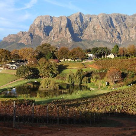 Alluvia Boutique Winery & Luxury Accommodation Stellenbosch Eksteriør bilde The Paarl Mountain Range