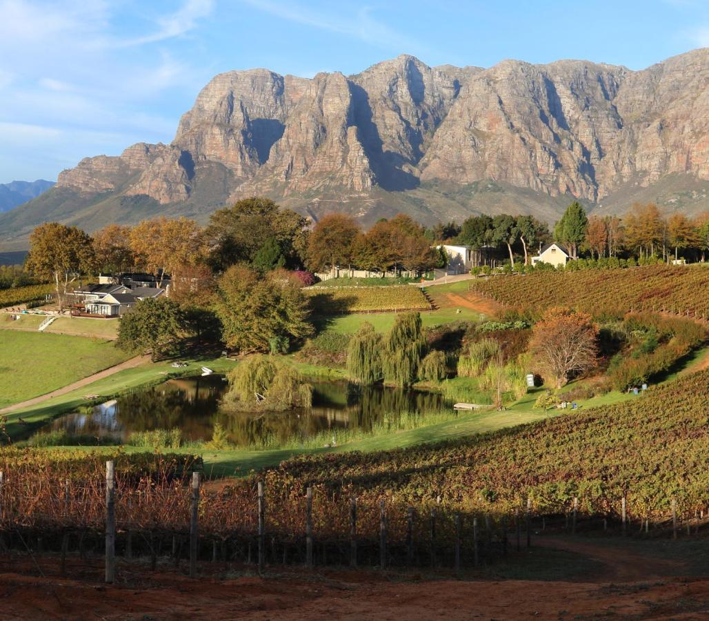 Alluvia Boutique Winery & Luxury Accommodation Stellenbosch Eksteriør bilde The Paarl Mountain Range