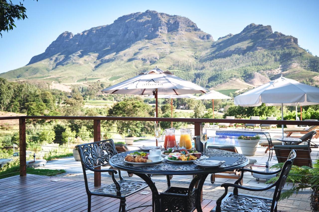 Alluvia Boutique Winery & Luxury Accommodation Stellenbosch Eksteriør bilde View of the Kleinrivierveld