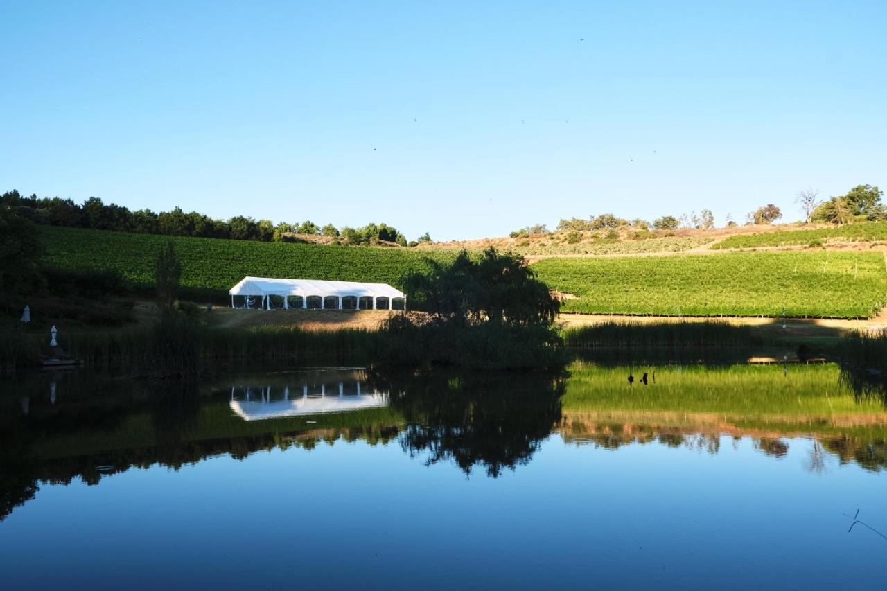 Alluvia Boutique Winery & Luxury Accommodation Stellenbosch Eksteriør bilde The vineyard at the winery