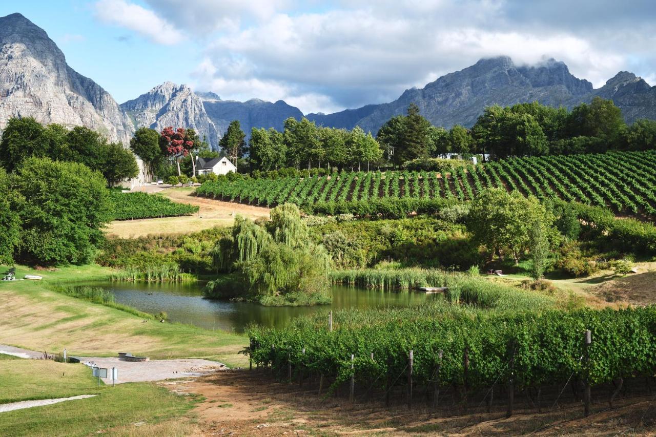 Alluvia Boutique Winery & Luxury Accommodation Stellenbosch Eksteriør bilde Wine estate in Stellenbosch