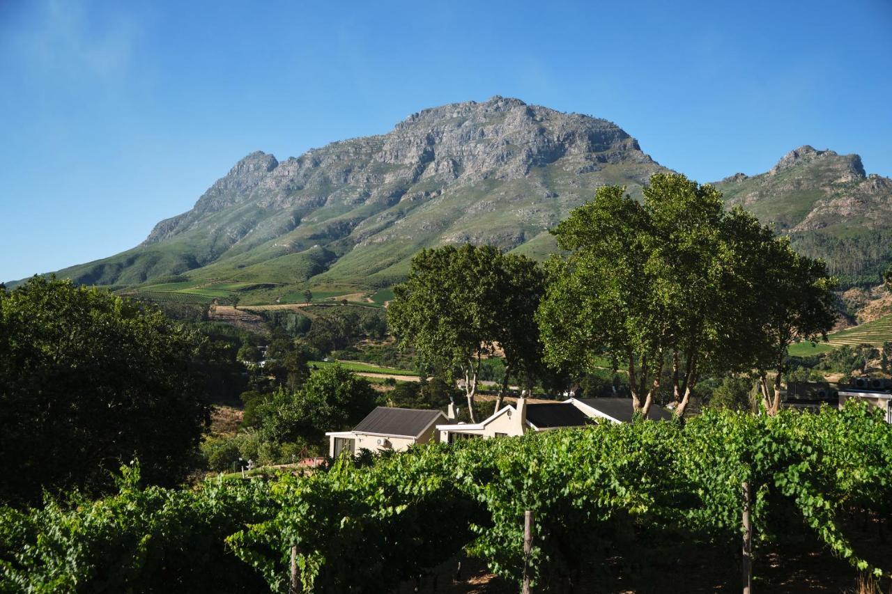 Alluvia Boutique Winery & Luxury Accommodation Stellenbosch Eksteriør bilde Wine estate in Stellenbosch