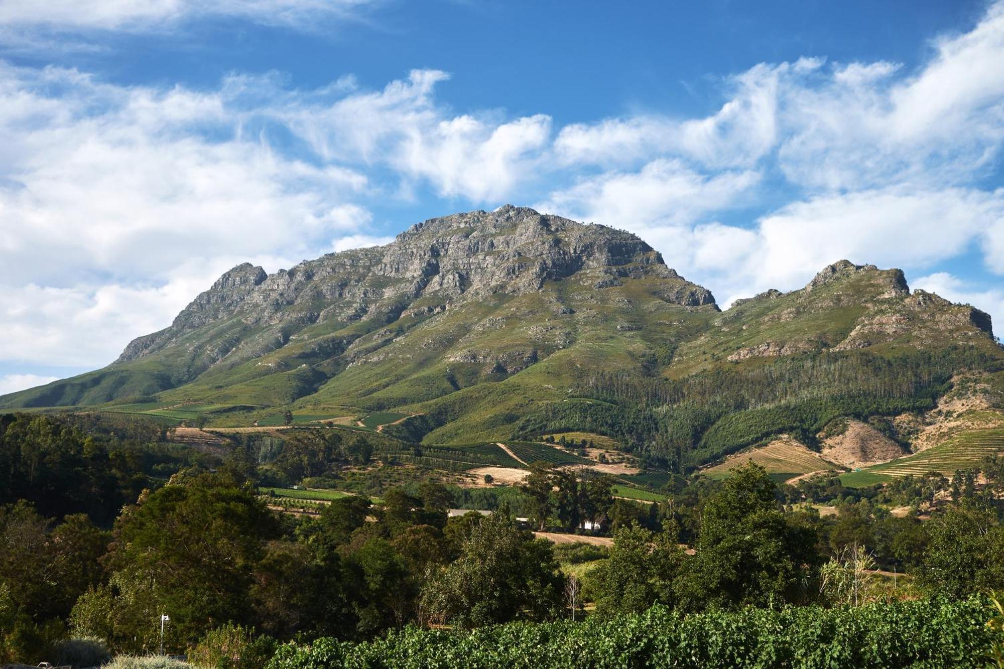 Alluvia Boutique Winery & Luxury Accommodation Stellenbosch Rom bilde The Helderberg