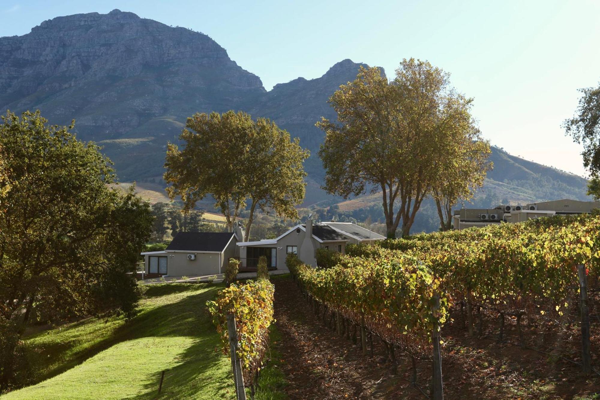 Alluvia Boutique Winery & Luxury Accommodation Stellenbosch Rom bilde Wine estate in Stellenbosch